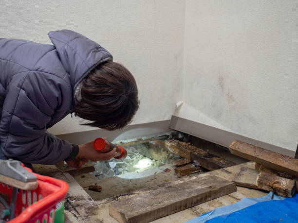 Best Comprehensive Air Testing for Mold Contaminants  in St Henry, OH