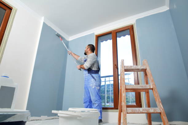 Best Attic Mold Removal  in St Henry, OH