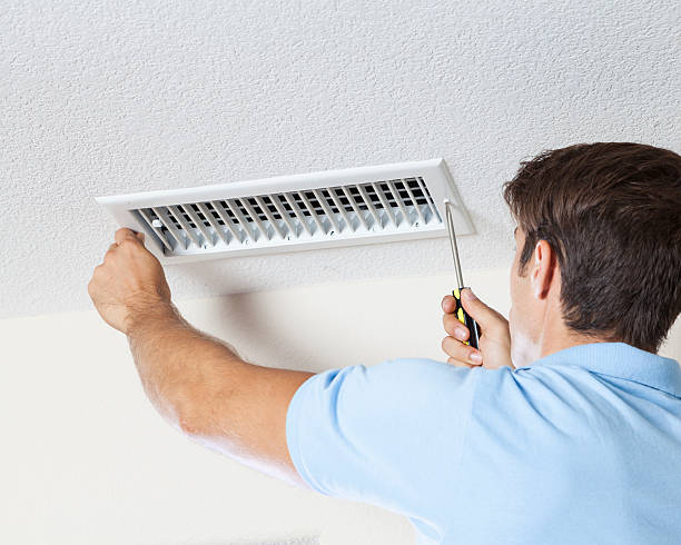 Best Emergency Mold Remediation  in St Henry, OH